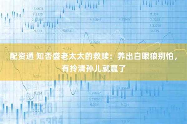 配资通 知否盛老太太的救赎：养出白眼狼别怕，有拎清孙儿就赢了
