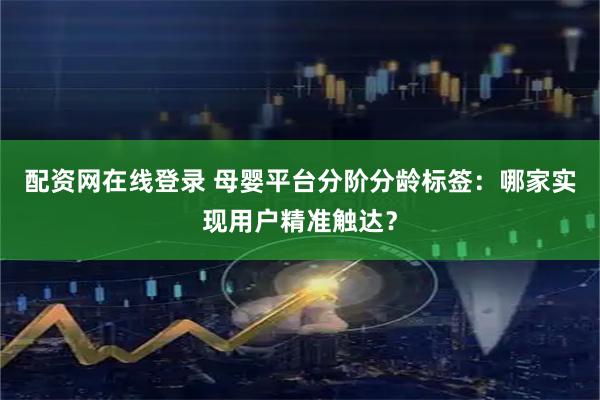 配资网在线登录 母婴平台分阶分龄标签：哪家实现用户精准触达？