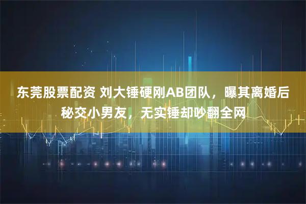 东莞股票配资 刘大锤硬刚AB团队，曝其离婚后秘交小男友，无实锤却吵翻全网